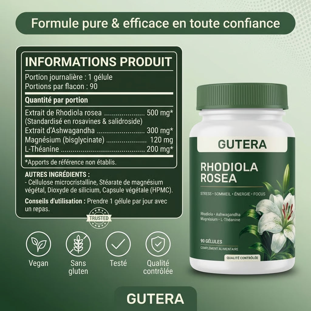 Rhodiola Rosea – Stress, Sommeil , Énergie & Focus (500 mg)