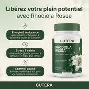 Rhodiola Rosea – Stress, Sommeil , Énergie & Focus (500 mg)